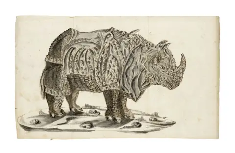 D'après Albrecht Dürer – Dessin du "Rhinocerus". Vers 1800