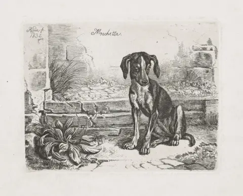 Johann Adam Klein – Collection de quatre eaux-fortes avec motifs de chiens