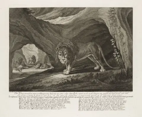 Entourage de Johann Elias Ridinger – Collection de 13 représentations de "Betrachtung der wilden Thiere mit beygefügter vortrefflichen Poesie des…