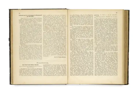Friedrich Nietzsche – A New Year's Word to the Editor of the Weekly "Im neuen Reich". First print in: Musikalisches Wochenblatt