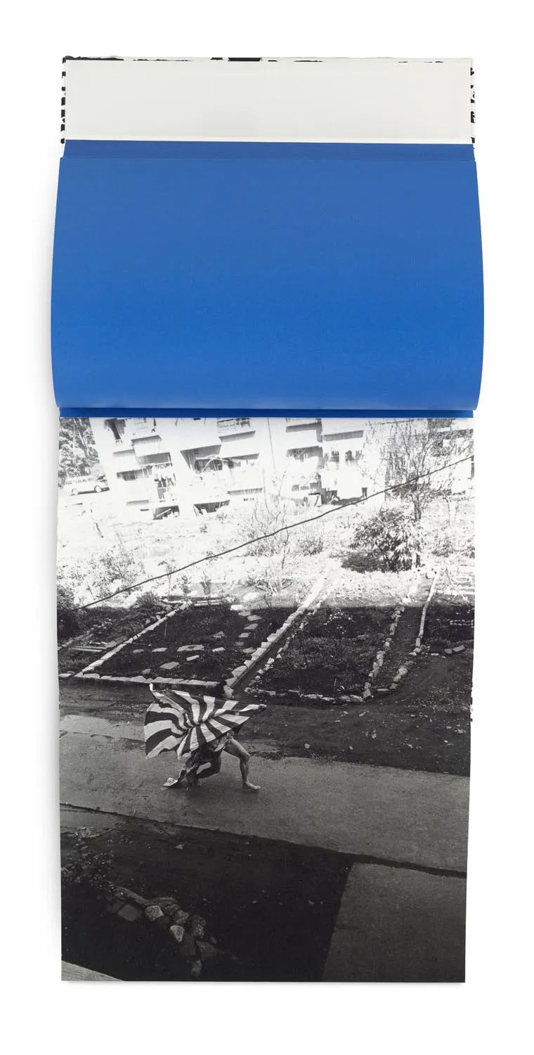 Eikoh Hosoe – Kamaitachi