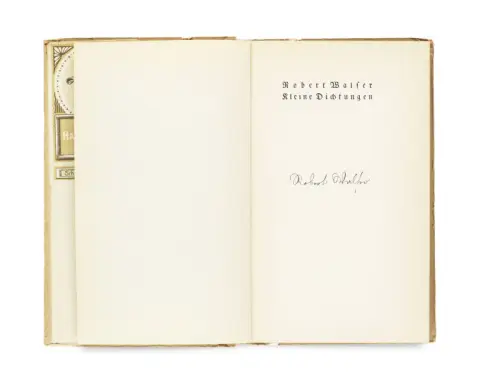 Robert Walser – Malé básně