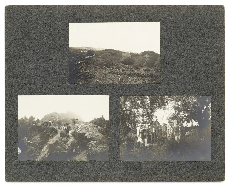 Collection de 89 photos d'expédition du botaniste allemand Erwin Baur aux îles Canaries