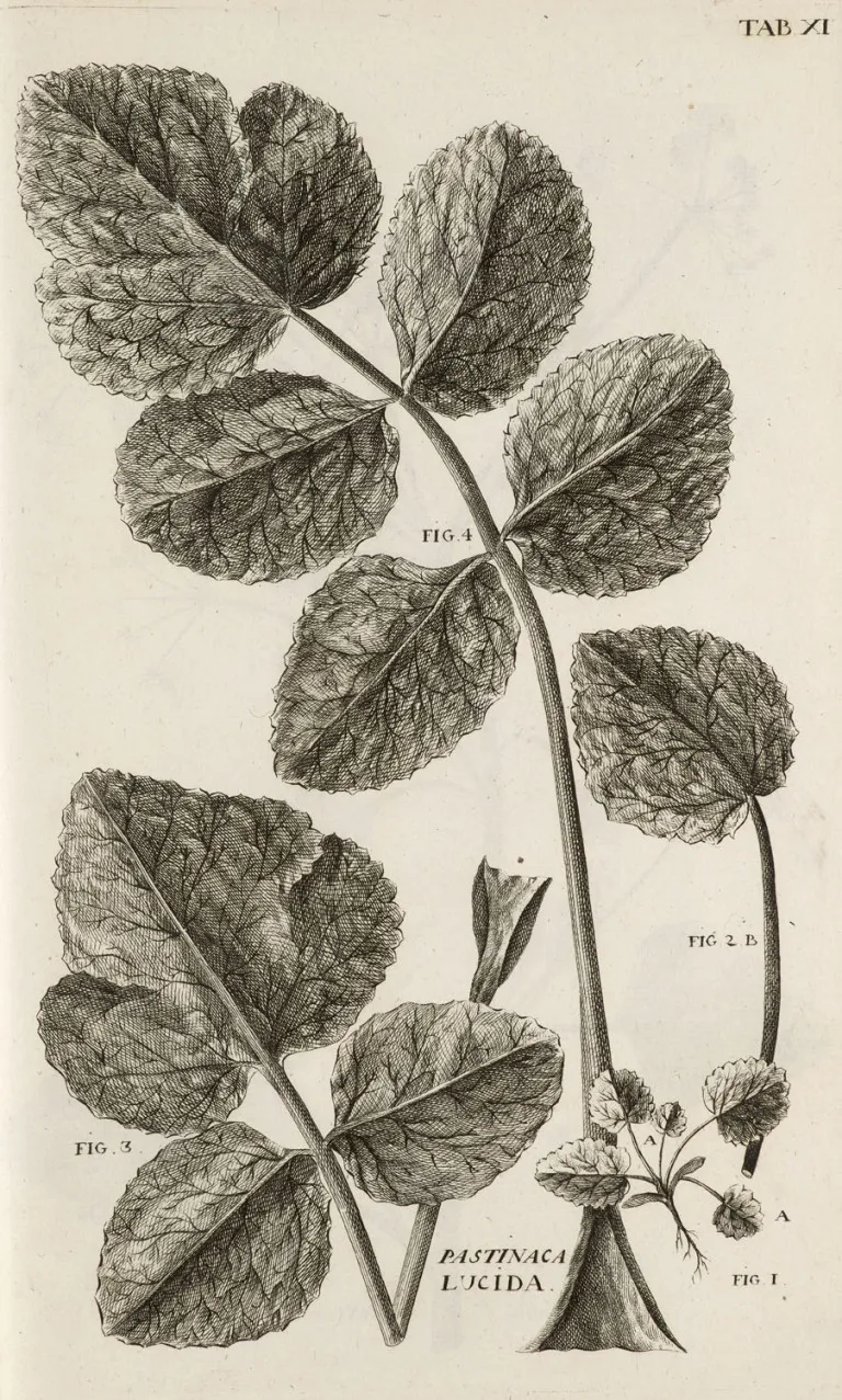 Antoine Gouan – Illustrationes et observationes Botanicae, ad specierum historiam facientes