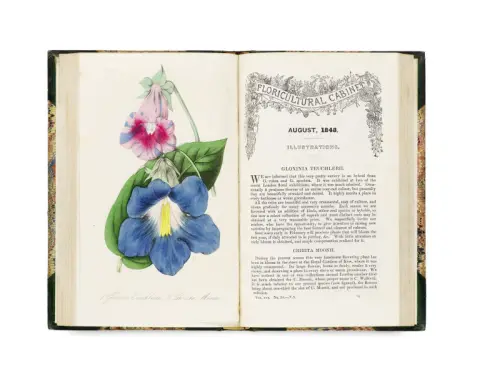 Joseph Harrison – The Floricultural Cabinet and Florists Magaziene ... Conducted by Joseph Harrison, Gardener