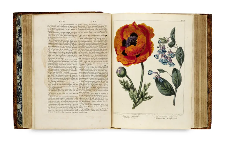 R.W. (Pseud. Mcdonald, Alex) Dickson – A complete dictionary of practical gardening: comprehending all the modern improvements in the art…