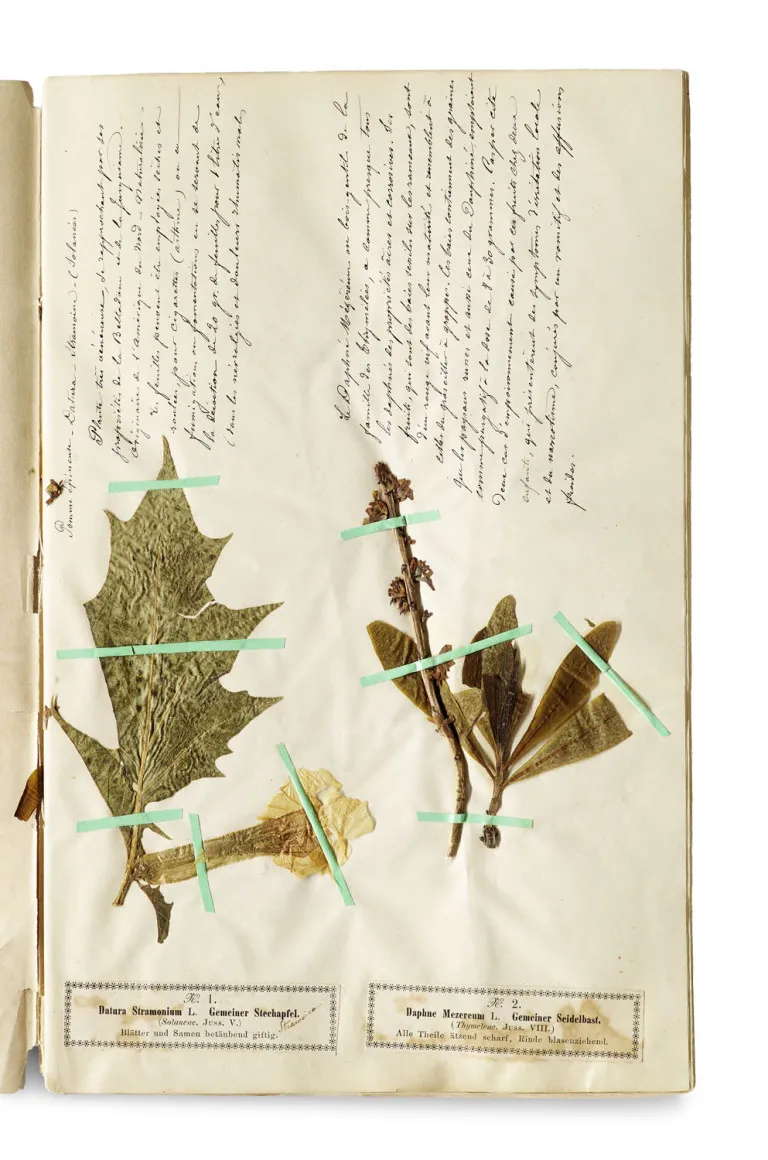 Hermann Wagner – Geneeskrachtige en giftige planten