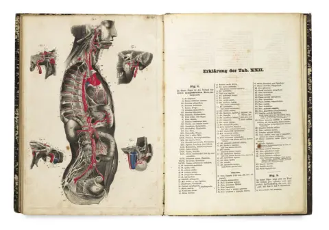Carl Ernst Bock – Hand-Atlas der Anatomie des Menschen nebst einem tabellarischen Handbuch der Anatomie