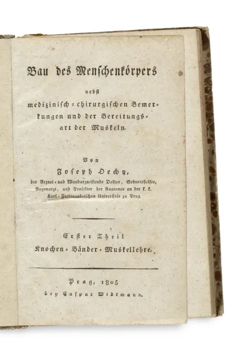 Joseph Anton Oechy – Structure du corps humain avec remarques médico-chirurgicales et le mode de préparation des muscles
