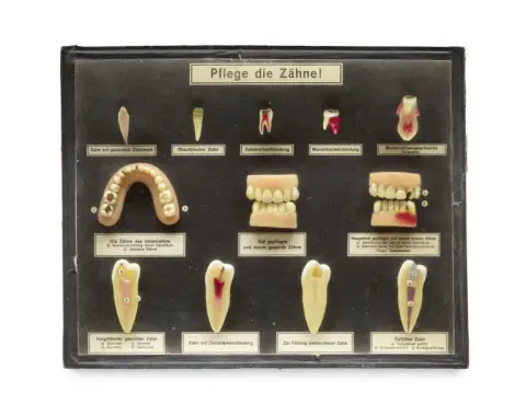 Prenez soin de vos dents ! Vitrine dentaire
