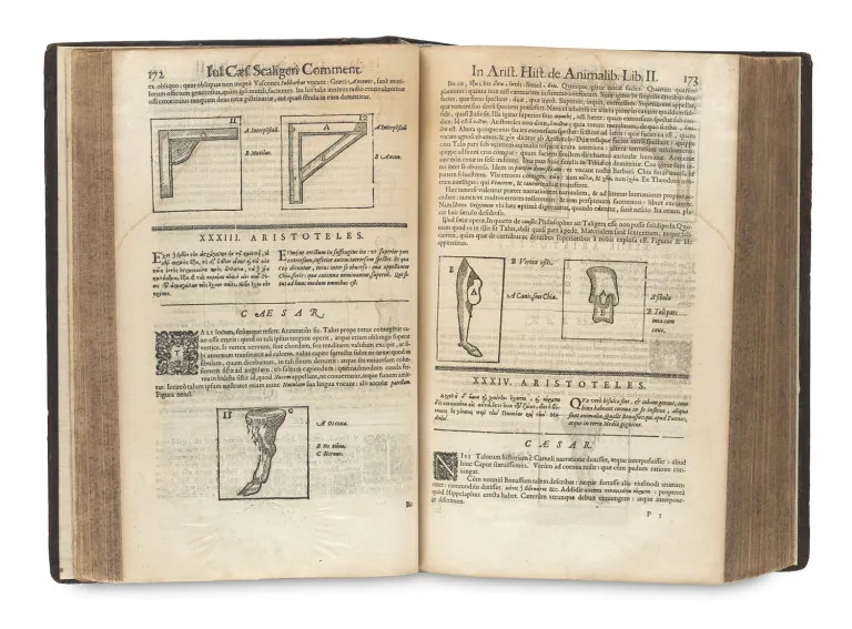 Aristoteles – Historia de Animalibus