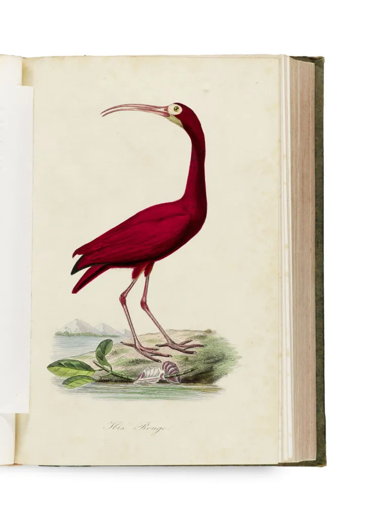 P., L. Couailhac, Gervais et Emm. Lemaout Bernard – Le Jardin des Plantes, description compléte, historique et pittoresque du Muséum…