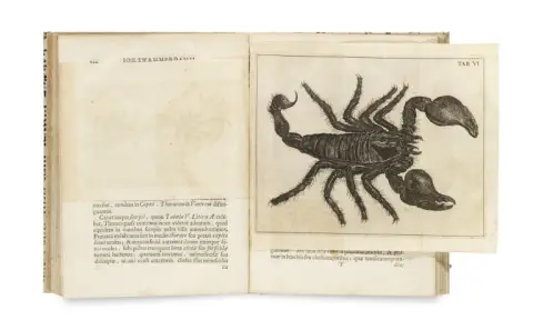 Johann Swammerdamm – Historia Insectorum Generalis, in qua quaecunque ad Insecta corumque mutationes spectant, dilucide ex fansioris…