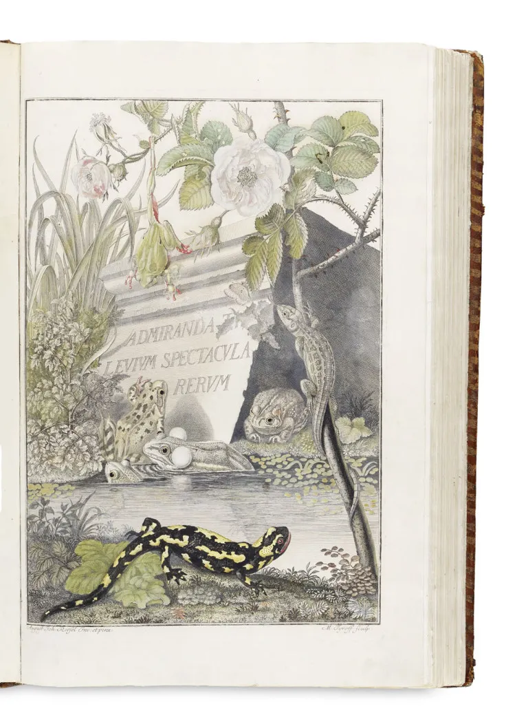 August Johann Rösel von Rosenhof i Christian Friedrich Carl Kleemann – Historia Naturalis Ranarum