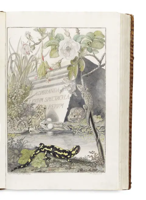 August Johann Rösel von Rosenhof et Christian Friedrich Carl Kleemann – Historia Naturalis Ranarum