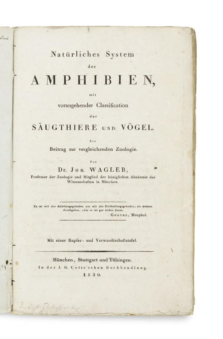 Johann Georg Wagler – Système naturel des amphibiens, précédé d'une classification des mammifères et des oiseaux