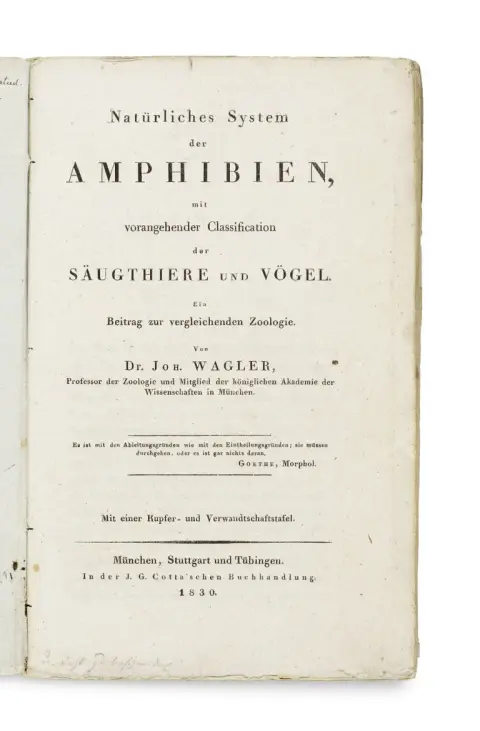 Johann Georg Wagler – Système naturel des amphibiens, précédé d'une classification des mammifères et des oiseaux