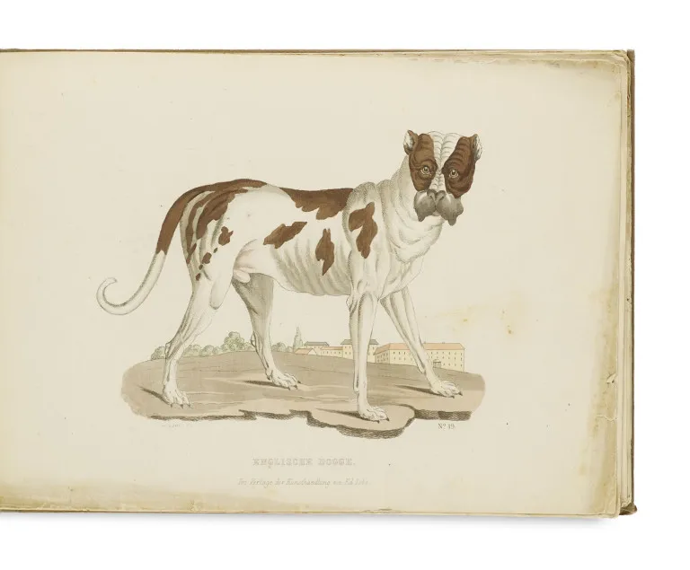 Theodor Götz (éd.) – Galerie de chiens ou représentation fidèle du chien en quarante-trois races pures
