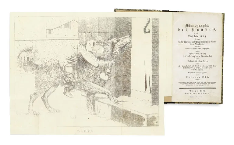 Theodor Götz (éd.) – Monographie du chien, ou description de son élevage, entretien et soins de toutes les races, de leurs maladies et…