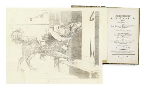 Theodor Götz (éd.) – Monographie du chien, ou description de son élevage, entretien et soins de toutes les races, de leurs maladies et…