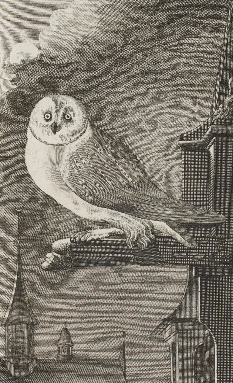 Georges Louis Leclerc Buffon – Histoire naturelle des oiseaux