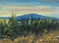 Erhard Zwar "Fleurs sauvages. Motif des monts Jizera. Vue sur le Grellbusch vers le Hohwald de Lauban". Vers 1940.