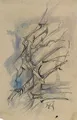 Horst Janssen, Buisson au bord de l'Elbe. Probablement années 1970.