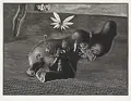 Wolfgang Mattheuer "Was nun?". 1980.