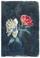 Theodor Rosenhauer, Twee rozen. Waarschijnlijk jaren 1960.