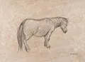 Wilhelm Rudolph, Poník v dešti / Ležící velbloud. Pravděpodobně 40./50. léta.