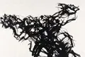 Max Uhlig "La Vigne". 1995.