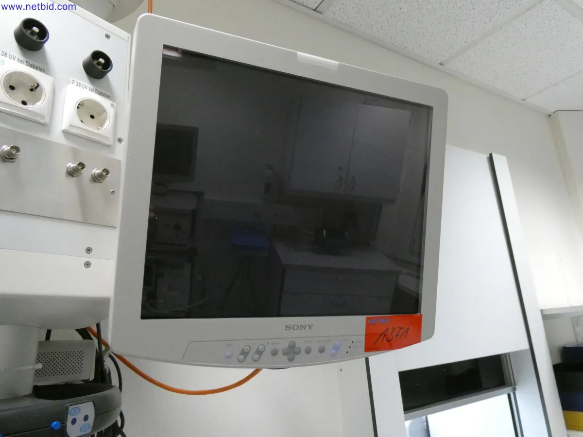 Moniteur (général), TFT SONY Deutschland GmbH LMD-1950 MD