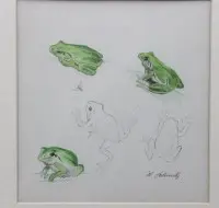 Studium, rzekotki, sygnowane H. Schmidt, w ramie/pod szkłem, wym. ramy 30,5 x 28,5 cm