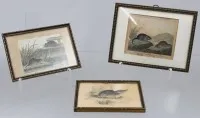 3 kl. Stiche, Tiermotive, wohl Georges-Louis LECLERC DE BUFFON (1707-1788), je gerahmt/Glas, ca. RG 9,5 x 12cm