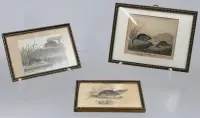 3 małe ryciny, motywy zwierzęce, prawdopodobnie Georges-Louis LECLERC DE BUFFON (1707-1788), każda w ramie/pod szkłem, wym. ramy ok. 9,5 x 12 cm