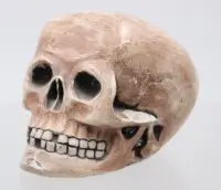 Przycisk do papieru w kształcie czaszki, prawdopodobnie sztukateria, różne odpryski, ok. wys. 8 cm dł. 11,5 cm