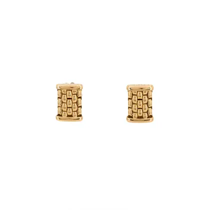 Puces d'oreilles en or