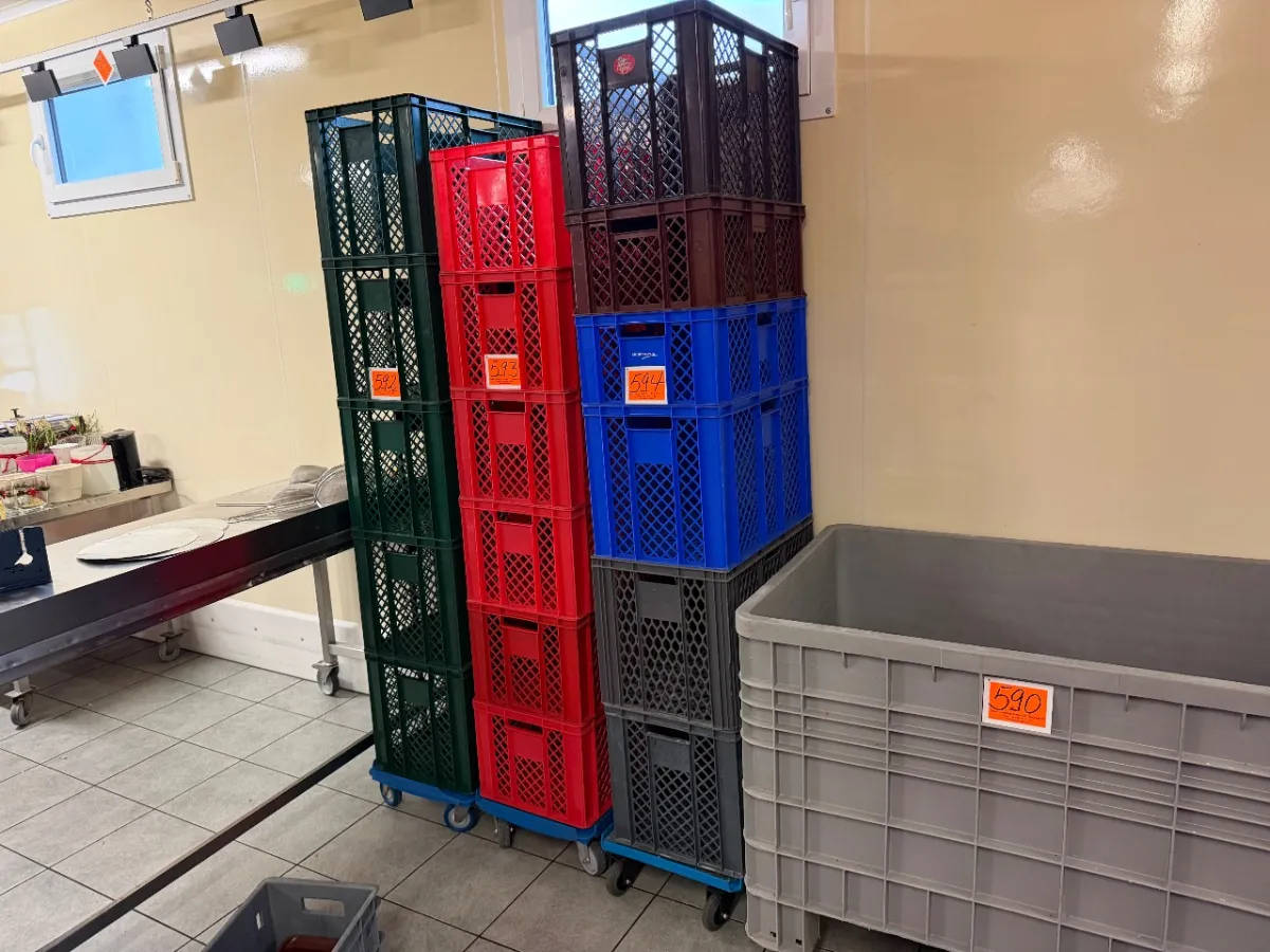 Lot de paniers en plastique (6 pièces)