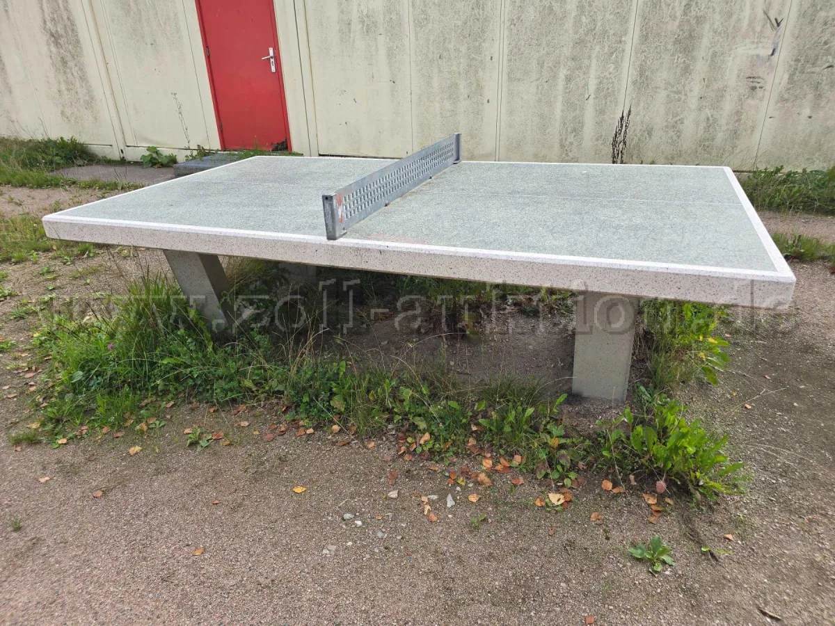 1 Table tennis table