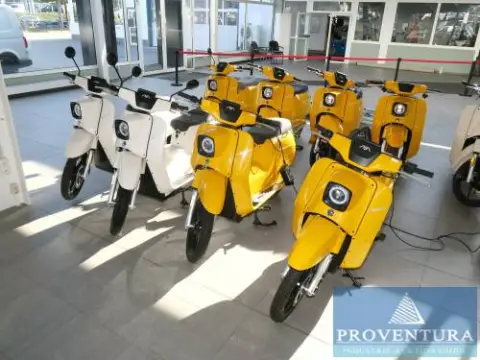 Kompletna partia skuterów elektrycznych SCHWALBE L1e 10 sztuk