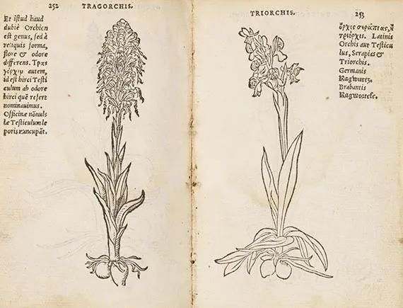 Rembertus Dodonaeus, Trium priorum de stirpium historia. Vedlagt: Posterium trium