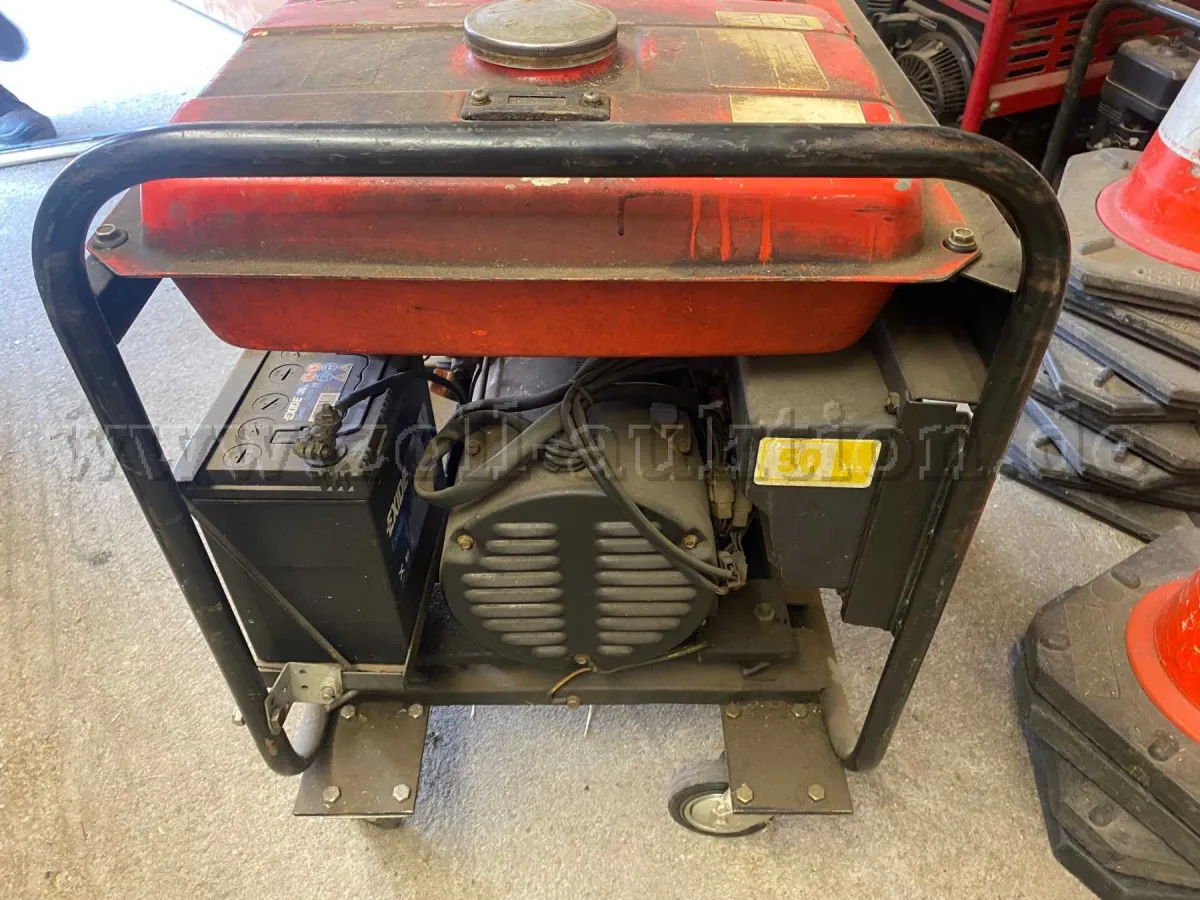 1 генератор марки Endress 406 BS/S GT