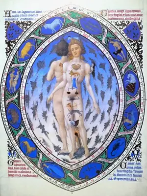 Calendrier doré, Le – Grand art de l'enluminure du Moyen Âge