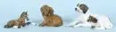 Figurines, 3 pièces - chien de chasse, chiot teckel et poulain "Rosenthal"