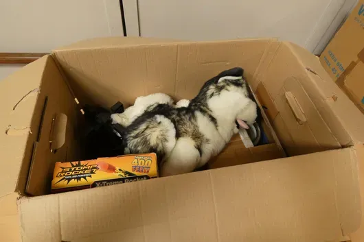 Kattenhuis van karton