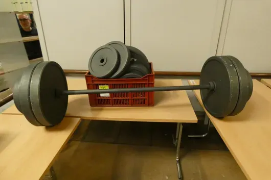 Dummy - Barbell with weight plates