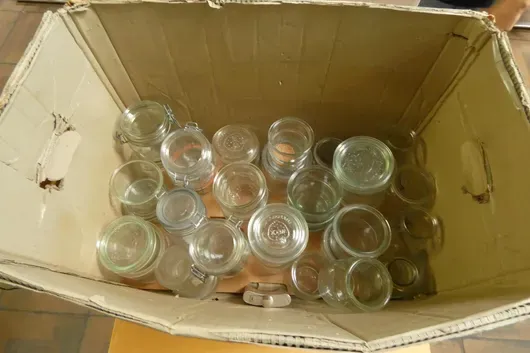 Lot de bocaux de conservation