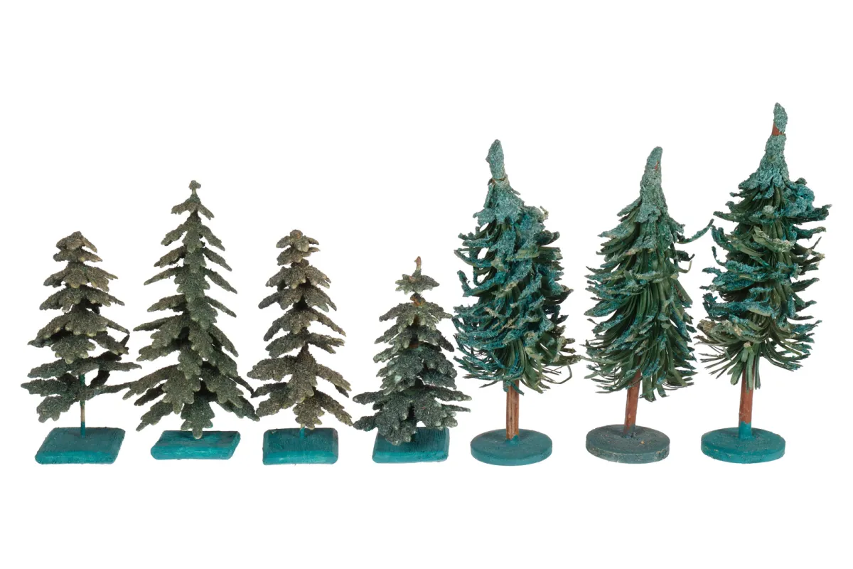 Lot van 7 oude bomen