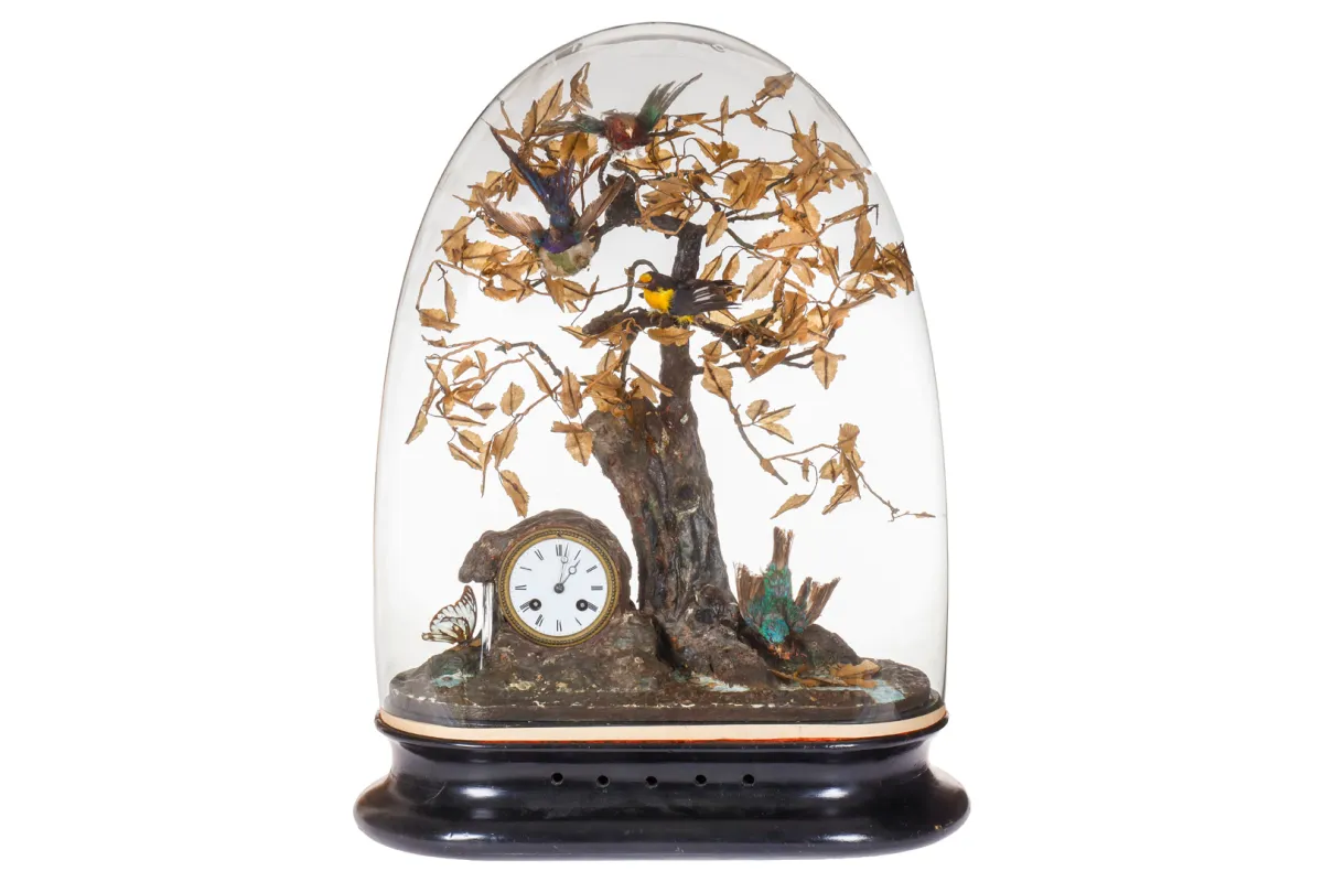 Vogelautomaat