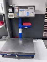 1 pallet scale Rhewa 84, max. 1500 kg with